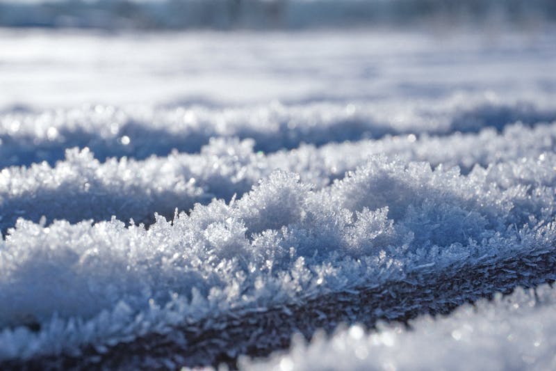 Classic Soft Drinks selection including cola and citrus